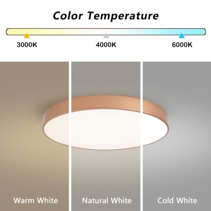 BRILAGI - LED stmievateľné stropné svietidlo POOL LED/60W/230V 3000-6000K priemer 60 cm bronzové + diaľkové ovládanie