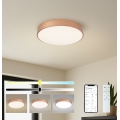BRILAGI - stmievateľné LED stropné svietidlo POOL SMART LED/48W/230V 3000-6000K priemer 40 cm Wi-Fi Tuya bronzové + diaľkové ovládanie