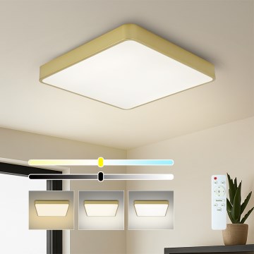 BRILAGI - Stmievateľné LED stropné svietidlo POOL SQUARE LED/48W/230V 3000-6000K 50x50 cm zlaté + diaľkové ovládanie