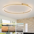 Brilagi - stmievateľné LED stropné svietidlo PORTOFINO LED/85W/230V 3000-6000K priemer 120 cm zlaté + diaľkové ovládanie