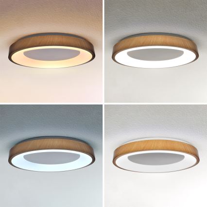 Brilagi - LED stmievateľné stropné svietidlo DORIA LED/60W/230V 3000-6500K priemer 60 cm + diaľkové ovládanie