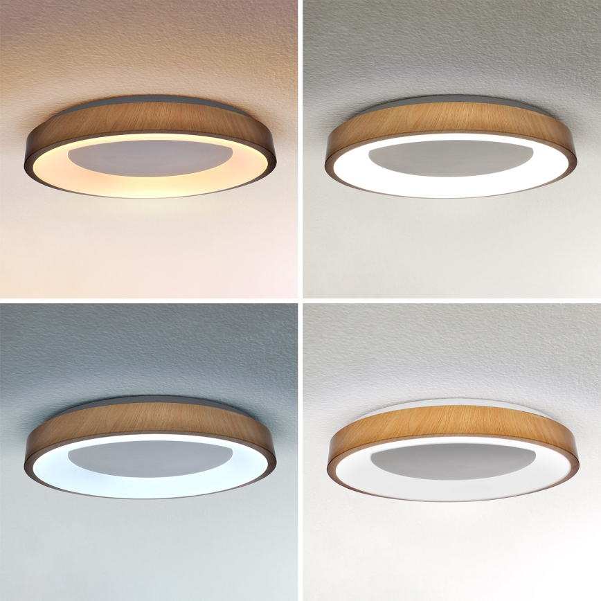 Brilagi - LED stmievateľné stropné svietidlo DORIA LED/60W/230V 3000-6500K priemer 60 cm + diaľkové ovládanie