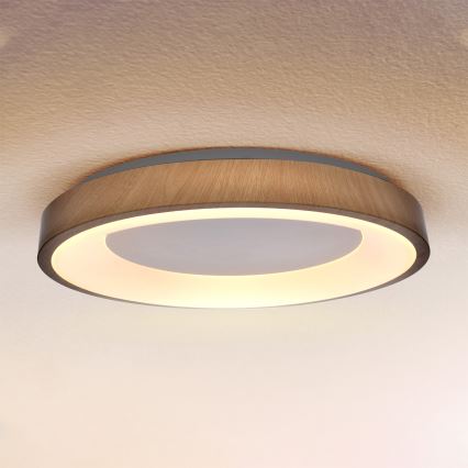 Brilagi - LED stmievateľné stropné svietidlo DORIA LED/60W/230V 3000-6500K priemer 60 cm + diaľkové ovládanie