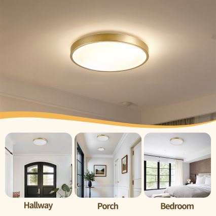 Brilagi - Stmievateľné LED stropné svietidlo GLASS POOL DOUBLE LED/48W/230V 3000-6000K 40 cm zlaté + diaľkové ovládanie