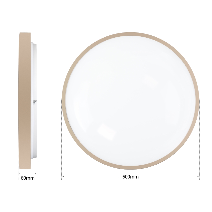 Brilagi - stmievateľné LED stropné svietidlo GLASS POOL DOUBLE LED/80W/230V 3000-6000K 60 cm béžová + diaľkové ovládanie