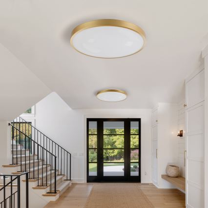 Brilagi - LED stmievateľné stropné svietidlo GLASS POOL DOUBLE LED/80W/230V 3000-6000K 60 cm zlaté + diaľkové ovládanie