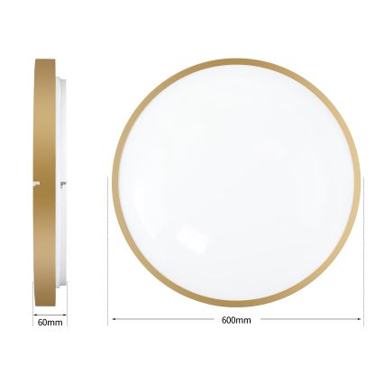 Brilagi - LED stmievateľné stropné svietidlo GLASS POOL DOUBLE LED/80W/230V 3000-6000K 60 cm zlaté + diaľkové ovládanie