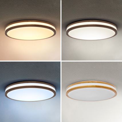 Brilagi - LED Stmievateľné stropné svietidlo MOLINA LED/60W/230V 3000-6500K dub pr. 58 cm + diaľkové ovládanie