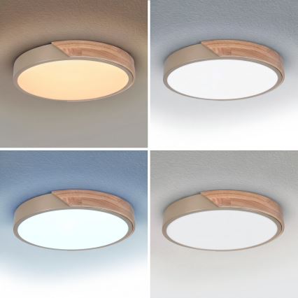 BRILAGI - LED Stmievané stropné svietidlo PILANA LED/48W/230V 3000-6500K dub/béžová pr. 40 cm + diaľkové ovládanie