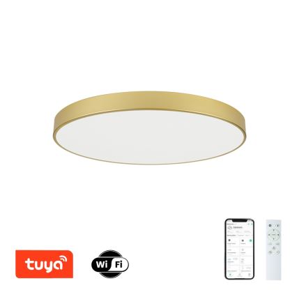 Brilagi - LED Stmievateľné stropné svietidlo POOL SMART LED/100W/230V 3000-6000K 80 cm zlaté Wi-Fi Tuya + diaľkové ovládanie
