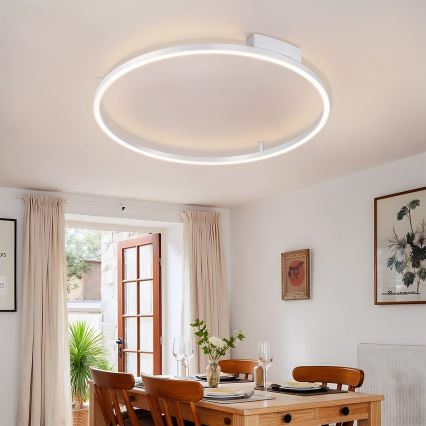 Brilagi - LED stmievateľné stropné svietidlo PORTOFINO LED/60W/230V 3000-6000K pr. 80 cm strieborné + diaľkové ovládanie