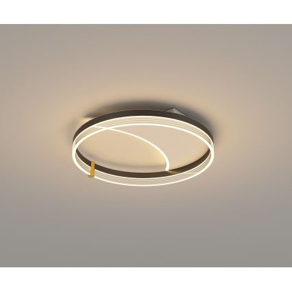 Brilagi - LED stmievateľné stropné svietidlo SIRELI LED/47W/230V 3000-6000K pr. 40 cm + diaľkové ovládanie