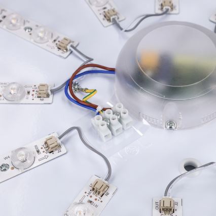 Brilagi - LED stmievateľné stropné svietidlo PILANA LED/72W/230V 3000-6500K dub/čierna priemer 80 cm + diaľkové ovládanie