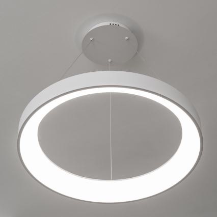 Brilagi - LED stmievateľný luster na lanku FALCON II LED/99W/230V 3000-6500K pr. 60 cm biela + diaľkové ovládanie