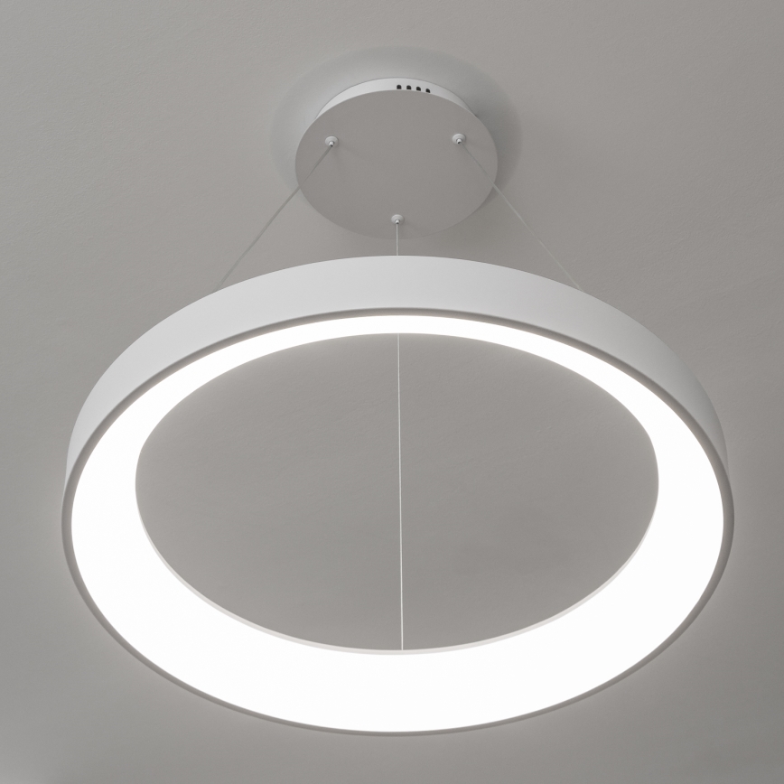 Brilagi - LED stmievateľný luster na lanku FALCON II LED/99W/230V 3000-6500K pr. 60 cm biela + diaľkové ovládanie