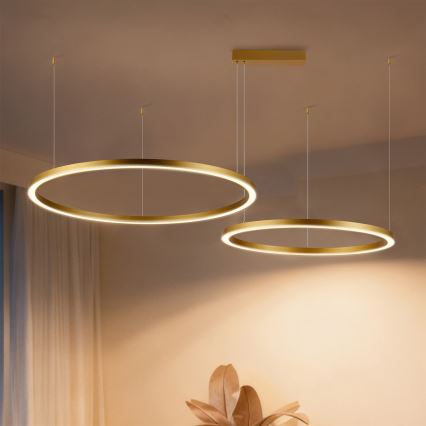 Brilagi - Stmievateľný LED luster na lanku PORTOFINO LED/98W/230V 3000-6000K zlatá + diaľkové ovládanie