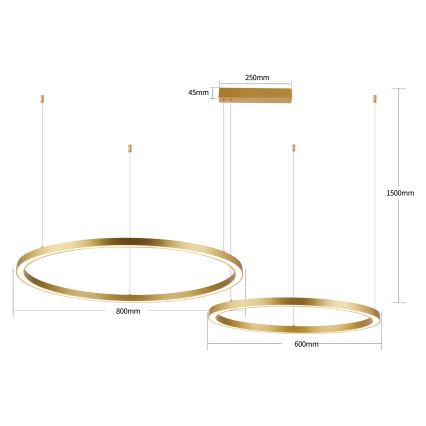 Brilagi - Stmievateľný LED luster na lanku PORTOFINO LED/98W/230V 3000-6000K zlatá + diaľkové ovládanie