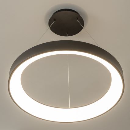 BRILAGI - LED stmievateľný luster na lanku FALCON II LED/99W/230V 3000-6500K Ø 60 cm čierna + diaľkové ovládanie