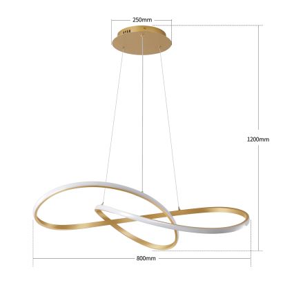 Brilagi - LED stmievateľný luster na lanku INFINITY LED/80W/230V 3000-6000K 80x80 cm zlatý + diaľkové ovládanie