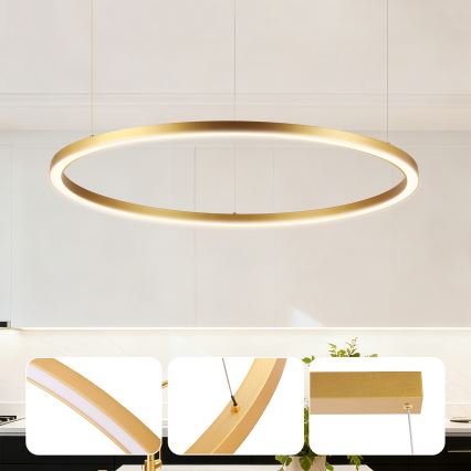 Brilagi - LED stmievateľný luster na lane PORTOFINO LED/60W/230V 3000–6000K pr. 80 cm zlatý + diaľkové ovládanie