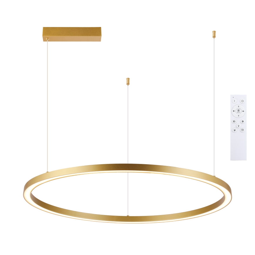 Brilagi - LED stmievateľný luster na lane PORTOFINO LED/60W/230V 3000–6000K pr. 80 cm zlatý + diaľkové ovládanie