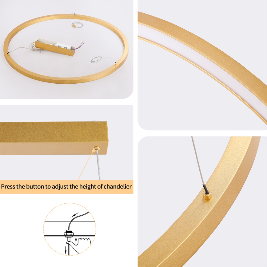 Brilagi - LED stmievateľný luster na lane PORTOFINO LED/60W/230V 3000–6000K pr. 80 cm zlatý + diaľkové ovládanie
