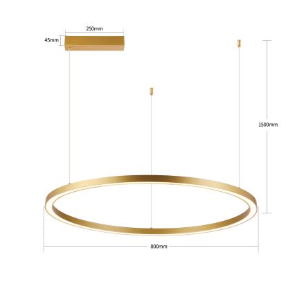 Brilagi - LED stmievateľný luster na lane PORTOFINO LED/60W/230V 3000–6000K pr. 80 cm zlatý + diaľkové ovládanie