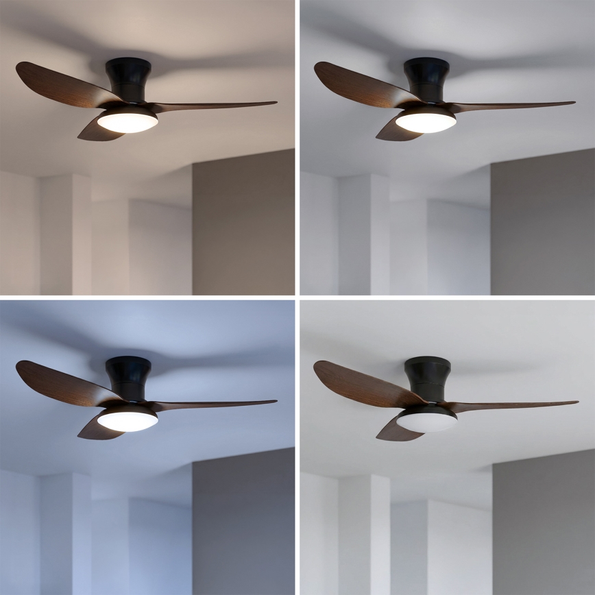 Brilagi - LED stmievateľný stropný ventilátor LED/38W/230V 3000-6500K pr. 100 cm čierna/hnedá + diaľkové ovládanie