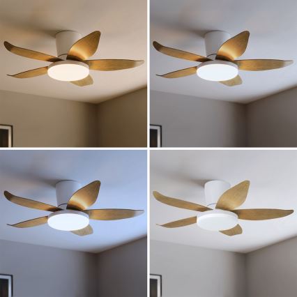 Brilagi - LED Stmievateľný stropný ventilátor LED/32W/230V 95 cm biela/hnedá + diaľkové ovládanie