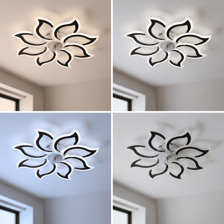 Brilagi - LED stmievateľný stropný ventilátor LED/44W/230V 3000-6500K pr. 90 cm čierna + diaľkové ovládanie