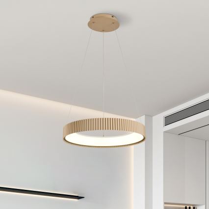 Brilagi - LED stmievateľný luster na lanku FALCON MODERN LED/30W/230V 3000-6500K 40 cm béžový + diaľkové ovládanie