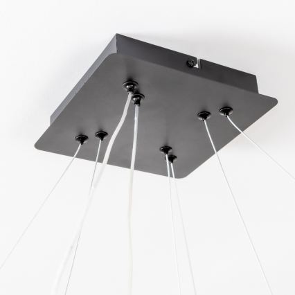 Brilagi - LED Stmievateľný luster na lanku FALCON SLIM LED/78W/230V 3000-6500K 50x50 cm čierna + diaľkové ovládanie