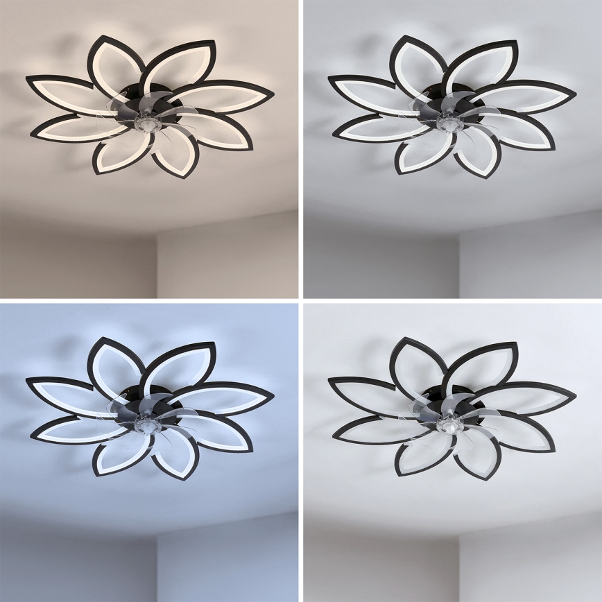 Brilagi - LED stlmiteľný stropný ventilátor LED/43W/230V pr. 90 cm čierna + diaľkový ovládač