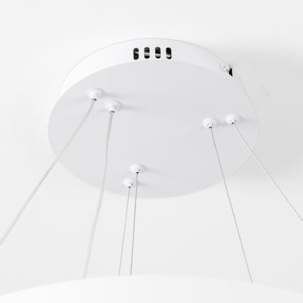 Brilagi - LED stmievateľný luster na lanku FALCON SLIM LED/68W/230V 3000-6500K pr. 50 cm biela + diaľkové ovládanie