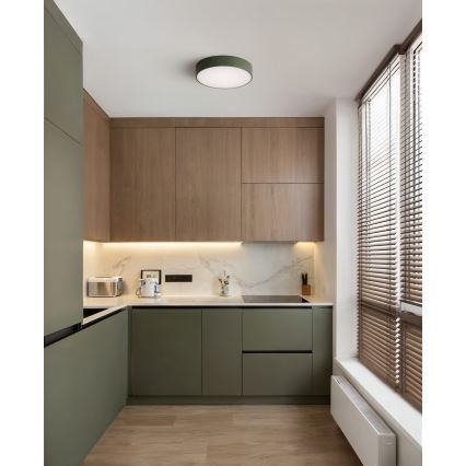 Brilagi - Stropné svietidlo CLARE 2xE27/24W/230V pr. 30 cm khaki