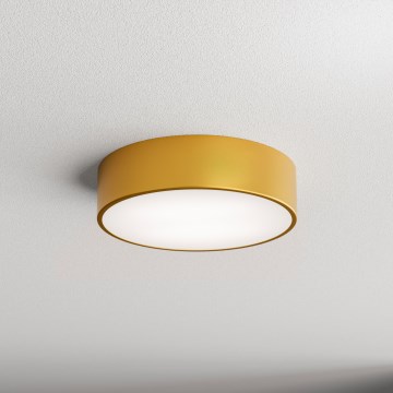 Brilagi - Stropné svietidlo CLARE 2xE27/40W/230V pr. 30 cm zlatá