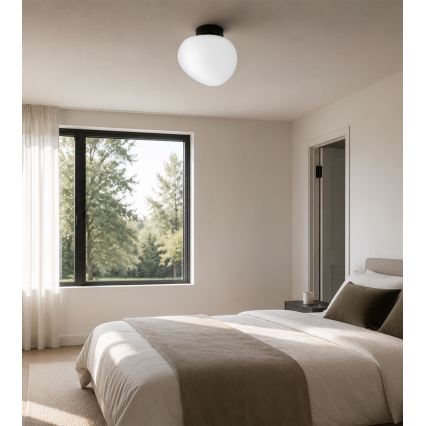 BRILAGI - Stropné svietidlo PEBBLES 1xE27/40W/230V pr. 20 cm čierna