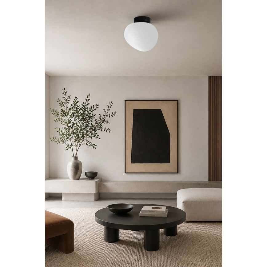 BRILAGI - Stropné svietidlo PEBBLES 1xE27/40W/230V pr. 20 cm čierna