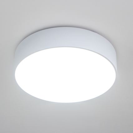 BRILAGI - Stropné svietidlo POOL 4xE27/15W/230V pr. 50 cm IP54 biela