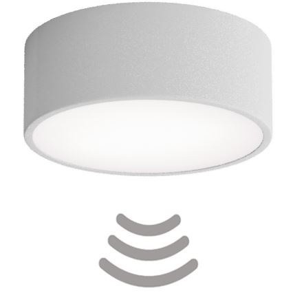 Brilagi - Stropné svietidlo so senzorom CLARE 1xE27/24W/230V pr. 20 cm šedá