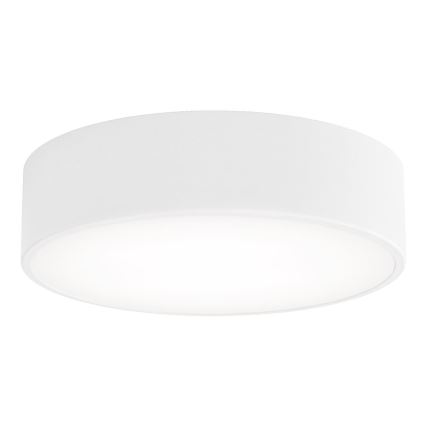 Brilagi - Stropné svietidlo so senzorom CLARE 2xE27/40W/230V pr. 30 cm biela