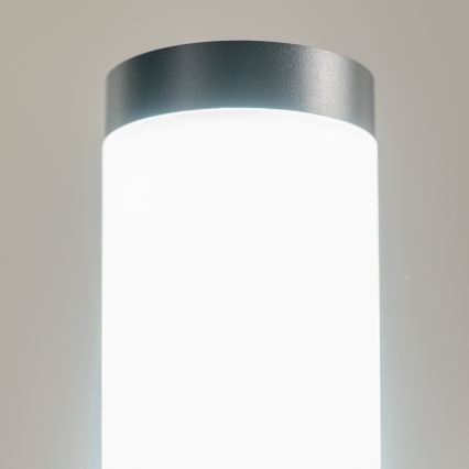 BRILAGI - Vonkajšia lampa ELIA 1xE27/20W/230V IP44 50 cm antracitová
