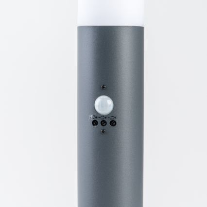BRILAGI - Vonkajšie svietidlo s pohybovým senzorom ELIA 1xE27/20W/230V IP44 100 cm antracitové