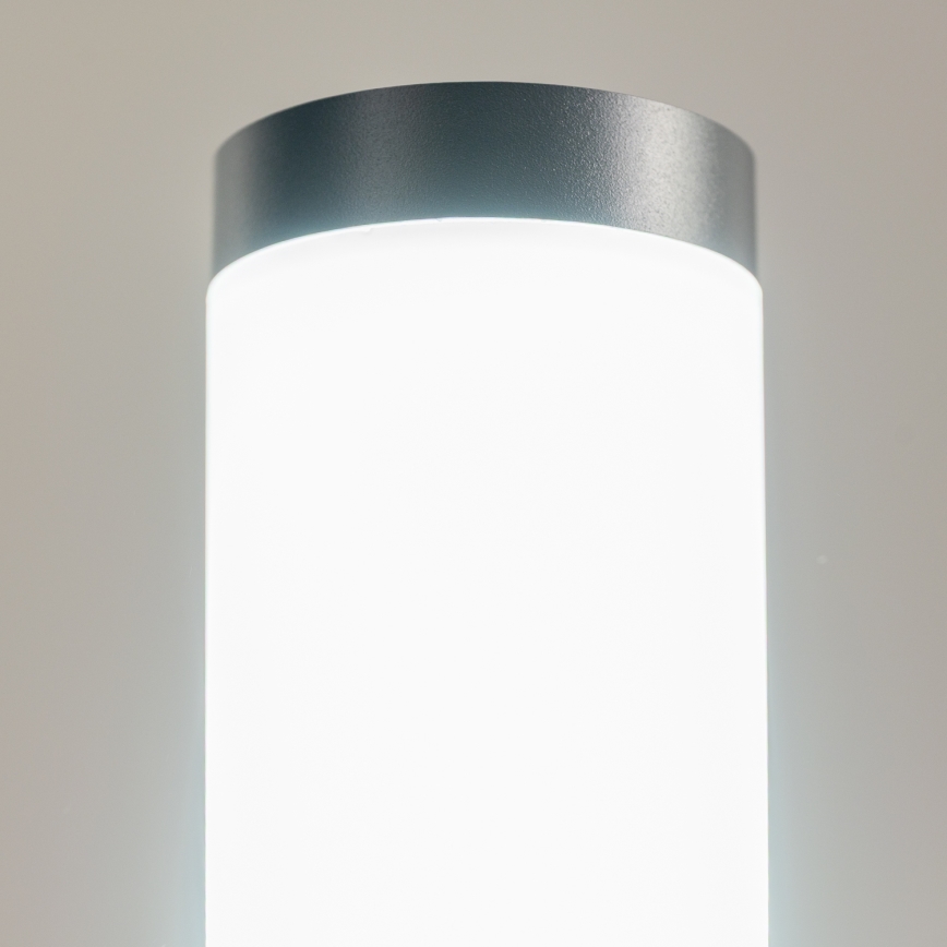 BRILAGI - Vonkajšie svietidlo s pohybovým senzorom ELIA 1xE27/20W/230V IP44 100 cm antracitové