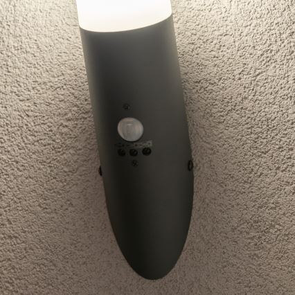 BRILAGI - Vonkajšie nástenné svietidlo s pohybovým senzorom ELIA 1xE27/20W/230V IP44 antracit