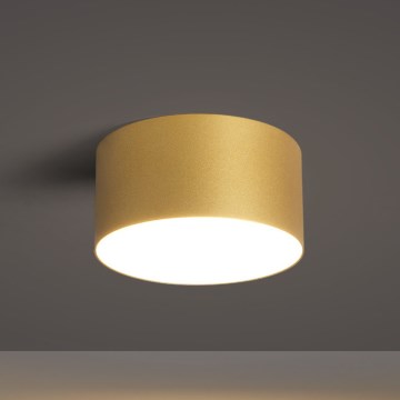 BRILAGI - Vonkajšie stropné svietidlo FORIS LED/14W/230V pr. 12 cm zlaté IP44