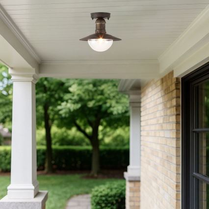 Brilagi - Vonkajšie stropné svietidlo MOLDE 1xE27/60W IP44 bronzová/patina