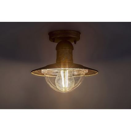 Brilagi - Vonkajšie stropné svietidlo MOLDE 1xE27/60W IP44 bronzová/patina
