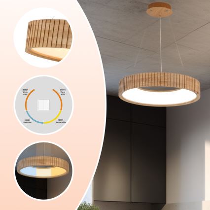 Brilagi - LED závesný luster na lanku FALCON WOOD MODERN LED/30W/230V 3000/4000/6000K priemer 45 cm drevo
