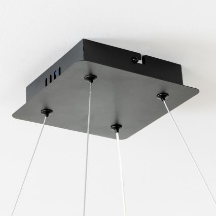 Brilagi - LED stmievateľný luster na lanku FALCON II LED/80W/230V 3000-6500K 40x40 cm čierna + diaľkové ovládanie
